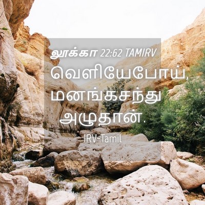 Picture 04 - லூக்கா 22:62 TAMIRV - வெளியேபோய், - Bible Verse Picture
