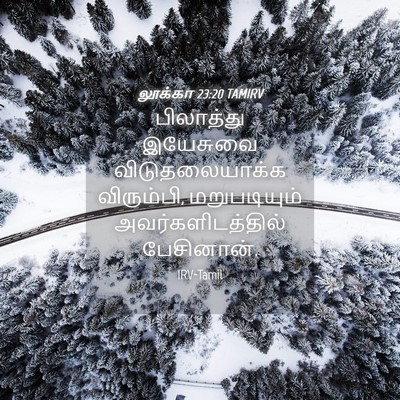 Picture 04 - லூக்கா 23:20 TAMIRV - பிலாத்து இயேசுவை - Bible Verse Picture
