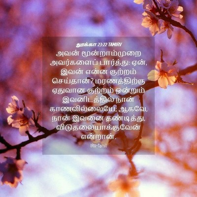 Picture 04 - லூக்கா 23:22 TAMIRV - அவன் மூன்றாம்முறை - Bible Verse Picture
