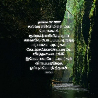 Picture 04 - லூக்கா 23:25 TAMIRV -  - Bible Verse Picture
