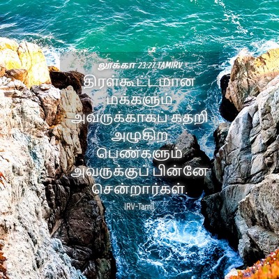 Picture 04 - லூக்கா 23:27 TAMIRV - திரள்கூட்டமான - Bible Verse Picture