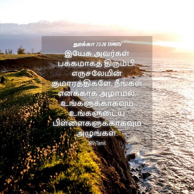 Picture 04 - லூக்கா 23:28 TAMIRV - இயேசு அவர்கள் - Bible Verse Picture