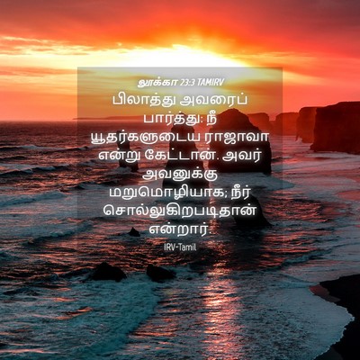 Picture 04 - லூக்கா 23:3 TAMIRV - பிலாத்து அவரைப் - Bible Verse Picture
