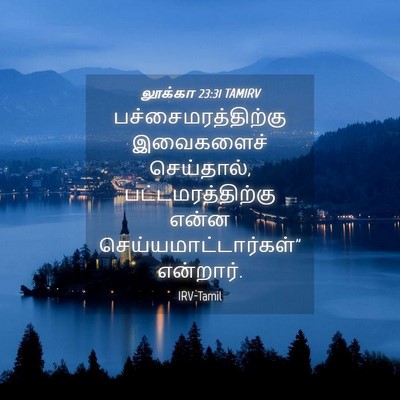 Picture 04 - லூக்கா 23:31 TAMIRV - பச்சைமரத்திற்கு - Bible Verse Picture