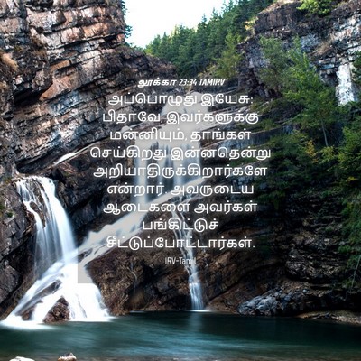 Picture 04 - லூக்கா 23:34 TAMIRV - அப்பொழுது இயேசு: - Bible Verse Picture