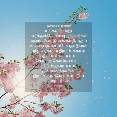 Picture 04 - லூக்கா 23:35 TAMIRV - மக்கள் நின்று - Bible Verse Picture