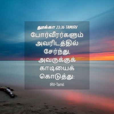 Picture 04 - லூக்கா 23:36 TAMIRV - போர்வீரர்களும் - Bible Verse Picture