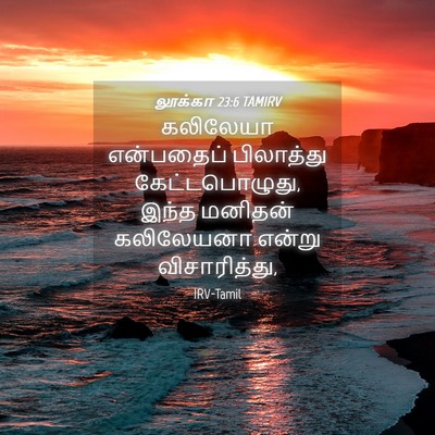 Picture 04 - லூக்கா 23:6 TAMIRV - கலிலேயா என்பதைப் - Bible Verse Picture
