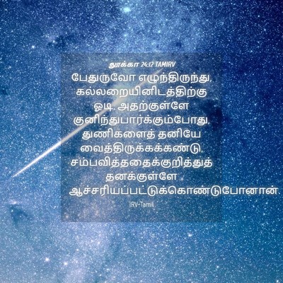 Picture 04 - லூக்கா 24:12 TAMIRV - பேதுருவோ - Bible Verse Picture