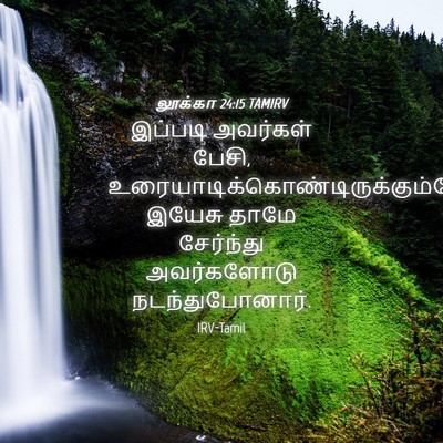 Picture 04 - லூக்கா 24:15 TAMIRV - இப்படி அவர்கள் - Bible Verse Picture