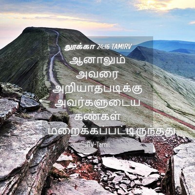 Picture 04 - லூக்கா 24:16 TAMIRV - ஆனாலும் அவரை - Bible Verse Picture