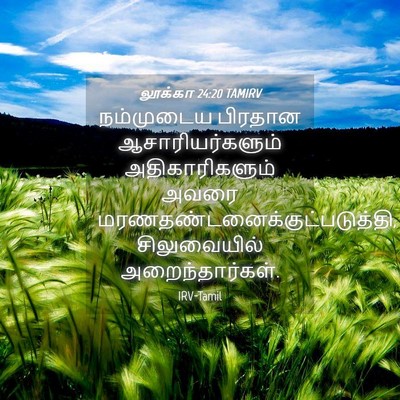 Picture 04 - லூக்கா 24:20 TAMIRV - நம்முடைய பிரதான - Bible Verse Picture