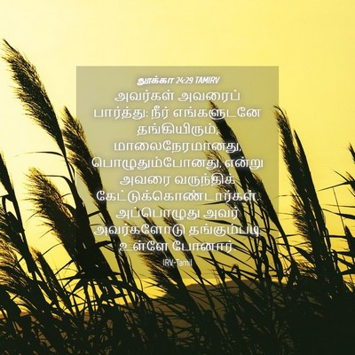 Picture 04 - லூக்கா 24:29 TAMIRV - அவர்கள் அவரைப் - Bible Verse Picture