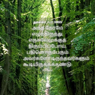 Picture 04 - லூக்கா 24:33 TAMIRV - அந்த நேரமே - Bible Verse Picture