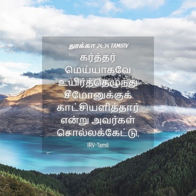 Picture 04 - லூக்கா 24:34 TAMIRV - கர்த்தர் - Bible Verse Picture