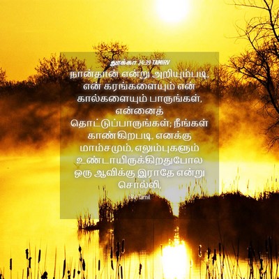 Picture 04 - லூக்கா 24:39 TAMIRV - நான்தான் என்று - Bible Verse Picture