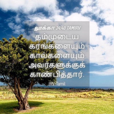Picture 04 - லூக்கா 24:40 TAMIRV - தம்முடைய - Bible Verse Picture