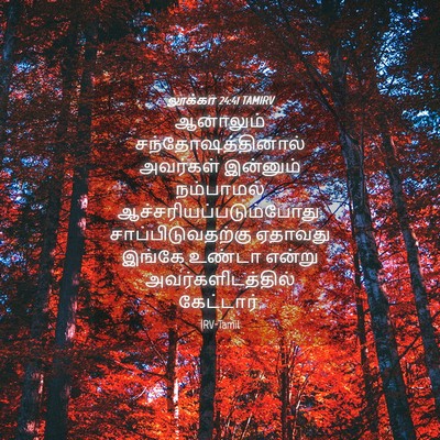Picture 04 - லூக்கா 24:41 TAMIRV - ஆனாலும் - Bible Verse Picture