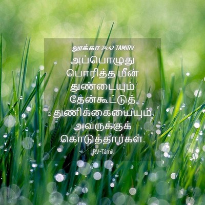 Picture 04 - லூக்கா 24:42 TAMIRV - அப்பொழுது பொரித்த - Bible Verse Picture