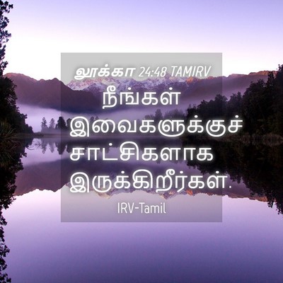 Picture 04 - லூக்கா 24:48 TAMIRV - நீங்கள் - Bible Verse Picture