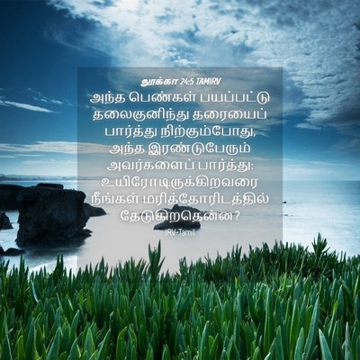 Picture 04 - லூக்கா 24:5 TAMIRV - அந்த பெண்கள் - Bible Verse Picture
