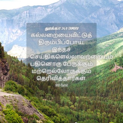 Picture 04 - லூக்கா 24:9 TAMIRV - கல்லறையைவிட்டுத் - Bible Verse Picture