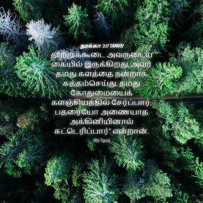 Picture 04 - லூக்கா 3:17 TAMIRV - தூற்றுக்கூடை - Bible Verse Picture