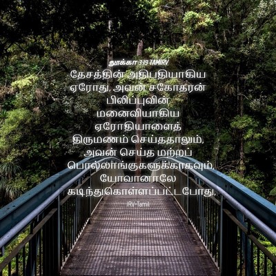 Picture 04 - லூக்கா 3:19 TAMIRV - தேசத்தின் - Bible Verse Picture