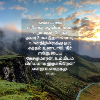 Picture 04 - லூக்கா 3:22 TAMIRV - பரிசுத்த - Bible Verse Picture