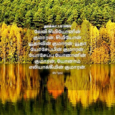 Picture 04 - லூக்கா 3:30 TAMIRV - லேவி சிமியோனின் - Bible Verse Picture