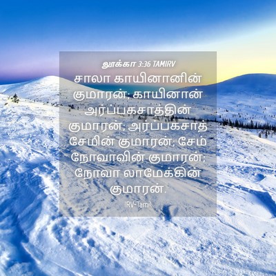 Picture 04 - லூக்கா 3:36 TAMIRV - சாலா காயினானின் - Bible Verse Picture