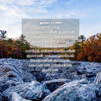 Picture 04 - லூக்கா 3:37 TAMIRV - லாமேக்கு - Bible Verse Picture
