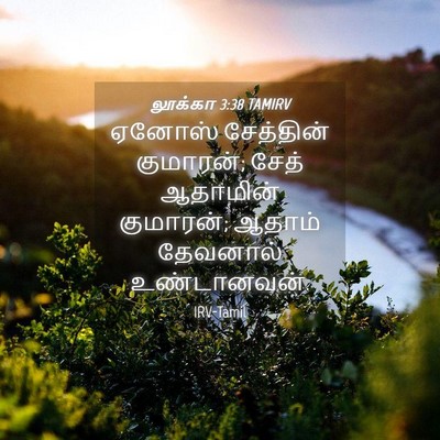 Picture 04 - லூக்கா 3:38 TAMIRV - ஏனோஸ் சேத்தின் - Bible Verse Picture