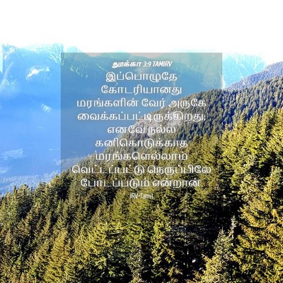 Picture 04 - லூக்கா 3:9 TAMIRV - இப்பொழுதே - Bible Verse Picture