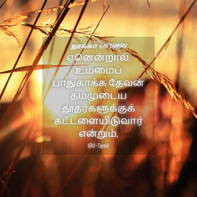 Picture 04 - லூக்கா 4:10 TAMIRV - ஏனென்றால், - Bible Verse Picture