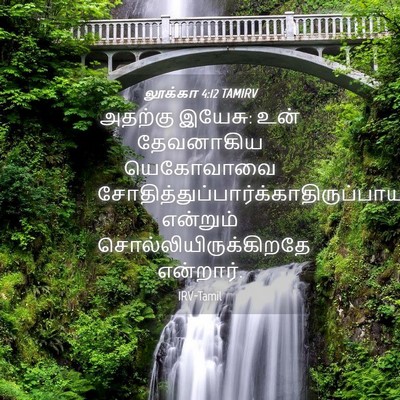 Picture 04 - லூக்கா 4:12 TAMIRV - அதற்கு இயேசு: உன் - Bible Verse Picture