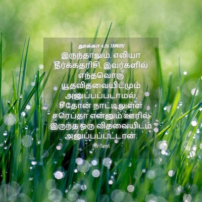Picture 04 - லூக்கா 4:26 TAMIRV - இருந்தாலும், - Bible Verse Picture