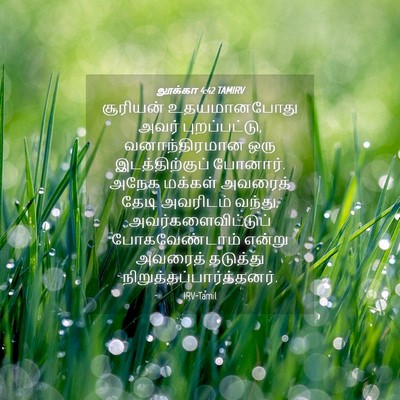 Picture 04 - லூக்கா 4:42 TAMIRV - சூரியன் - Bible Verse Picture