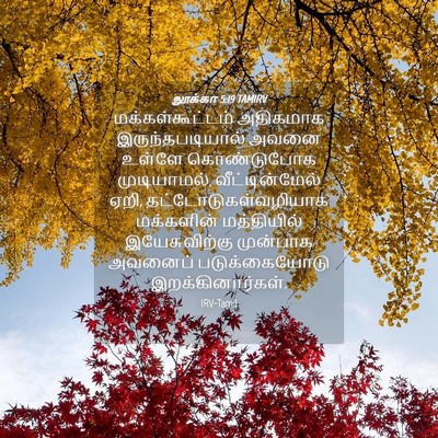 Picture 04 - லூக்கா 5:19 TAMIRV - மக்கள்கூட்டம் - Bible Verse Picture