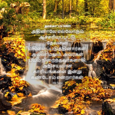 Picture 04 - லூக்கா 5:26 TAMIRV - அதினாலே எல்லோரும் - Bible Verse Picture
