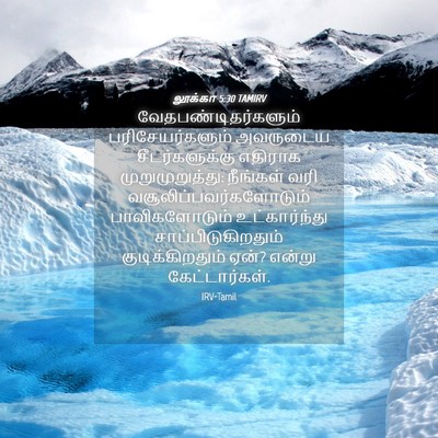 Picture 04 - லூக்கா 5:30 TAMIRV - வேதபண்டிதர்களும் - Bible Verse Picture