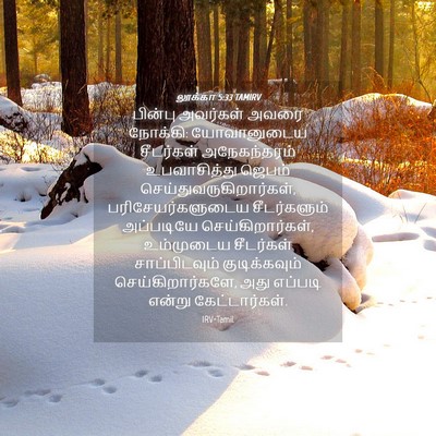 Picture 04 - லூக்கா 5:33 TAMIRV - பின்பு அவர்கள் - Bible Verse Picture