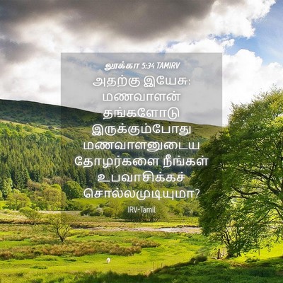 Picture 04 - லூக்கா 5:34 TAMIRV - அதற்கு இயேசு: - Bible Verse Picture