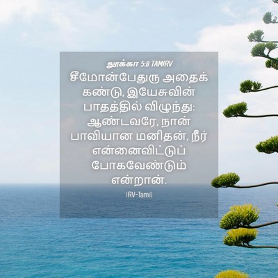 Picture 04 - லூக்கா 5:8 TAMIRV - சீமோன்பேதுரு - Bible Verse Picture