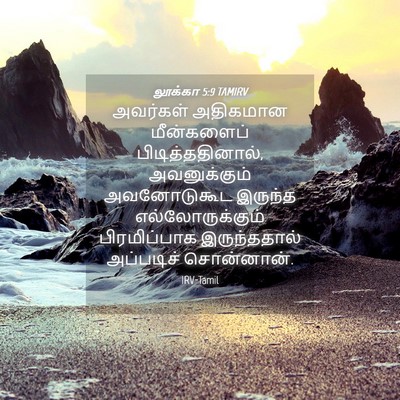 Picture 04 - லூக்கா 5:9 TAMIRV - அவர்கள் அதிகமான - Bible Verse Picture