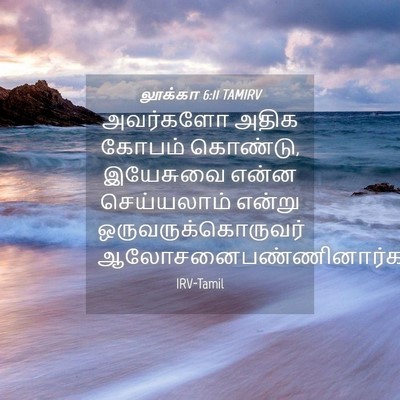 Picture 04 - லூக்கா 6:11 TAMIRV - அவர்களோ அதிக - Bible Verse Picture