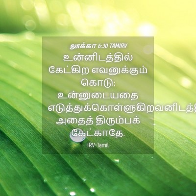 Picture 04 - லூக்கா 6:30 TAMIRV - உன்னிடத்தில் - Bible Verse Picture
