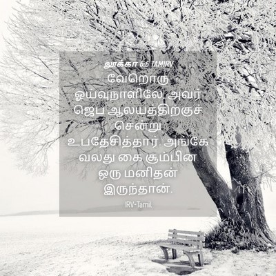 Picture 04 - லூக்கா 6:6 TAMIRV - வேறொரு - Bible Verse Picture