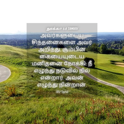Picture 04 - லூக்கா 6:8 TAMIRV - அவர்களுடைய - Bible Verse Picture