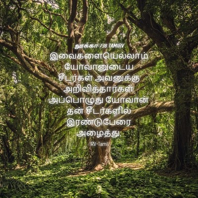 Picture 04 - லூக்கா 7:18 TAMIRV - இவைகளையெல்லாம் - Bible Verse Picture